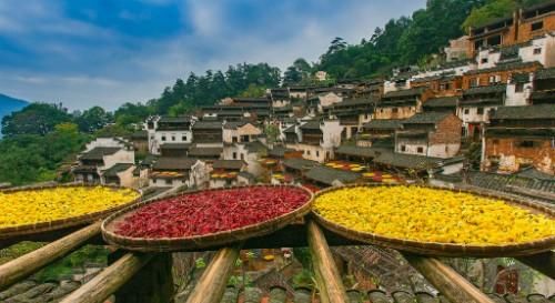  中国|中国秋天有婺源 婺源秋天有篁岭