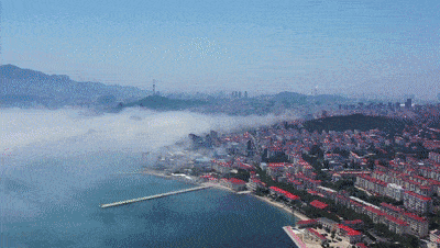  鱼苗|“走近一线检察官”直播活动：检察官见证百万鱼苗入黄海