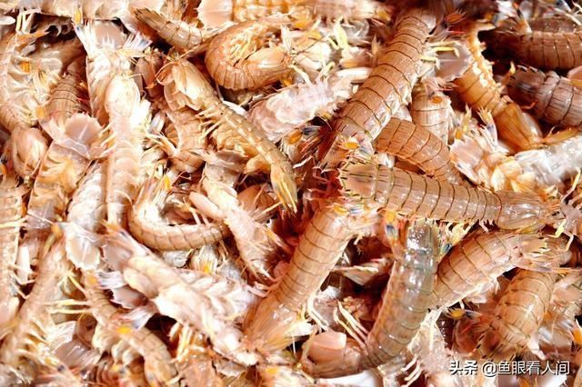 开海|开海后大渔船回来 海鲜堆满码头 价格比禁渔期便宜不少