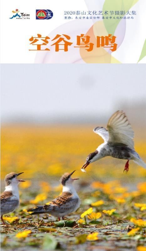 看不见|看不见的泰山 赏不尽的泰安