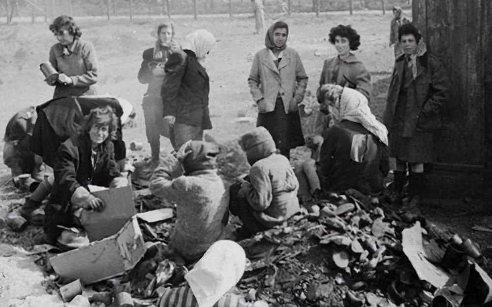 文化|历史上五大最强民族，犹太族排第三