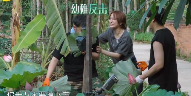 关系户|亮点不断!《向往的生活》迎来最强关系户,盼了三期,何炅终圆梦