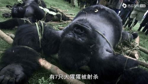  佳作|豆瓣预定超9分的佳作：原来我们错过许多惊喜，真遗憾没早点看到