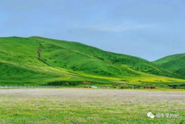  长白山|三伏暑热天，让我带你去这些只有25°的地方纳凉吧！