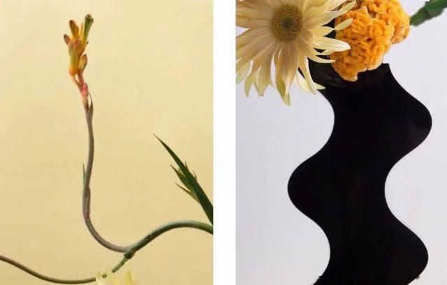  设计|“长得这么好看，花瓶就花瓶吧”
