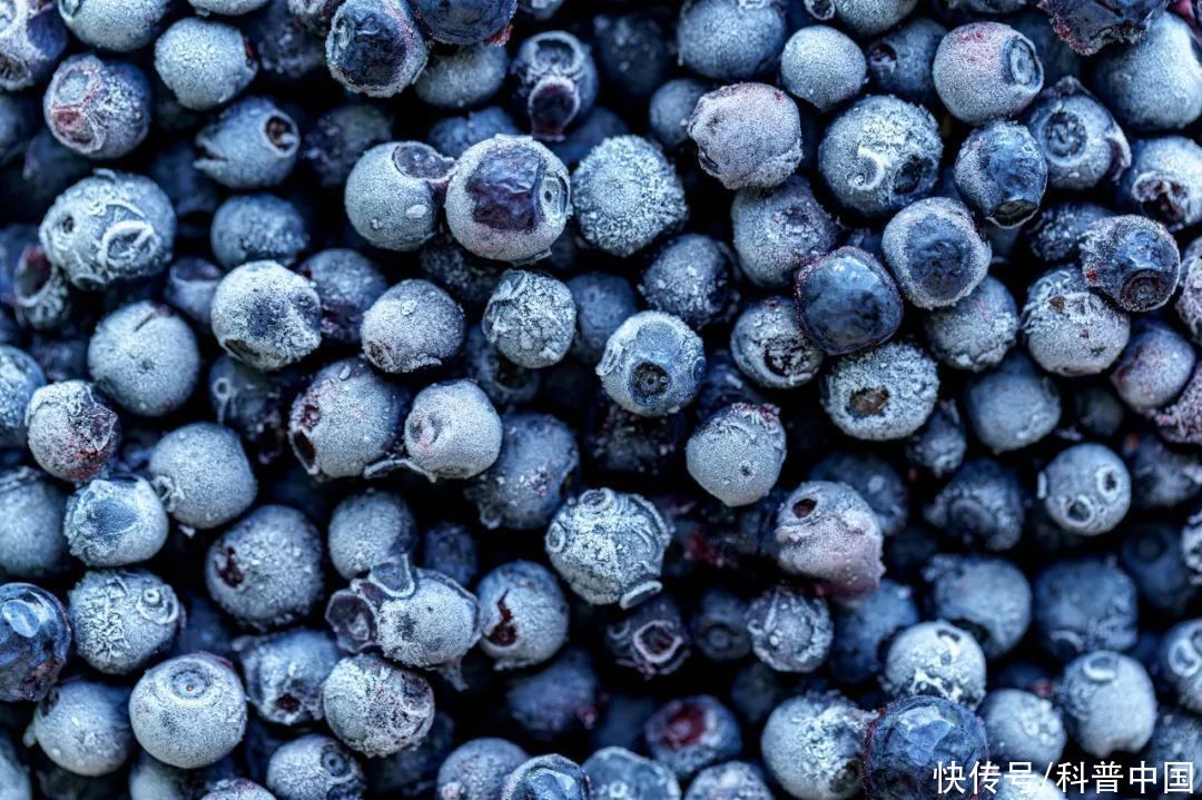 让水果好吃100倍的方法(一个能让水果好吃10000倍的方法！再不试试就来不及了！)