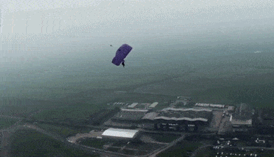 亲自|鸟人”奶奶亲自示范，什么叫做活到老玩到老