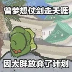  擅闯|擅闯原始丛林，两驴友失联获救后承担2万搜救费，还要罚