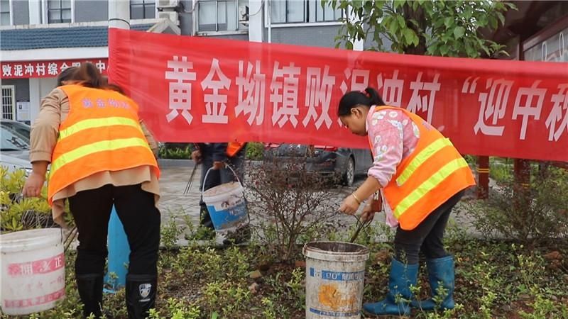 卫生|黄金坳镇党员主题日开展卫生大清扫活动
