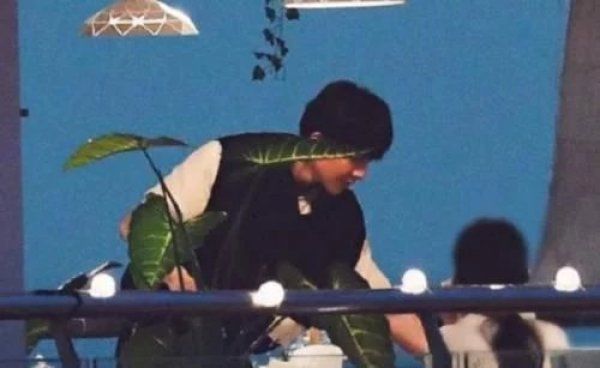 中餐厅|《中餐厅》顾客点“荷塘月色”,一份60被嫌贵?端上来后:退钱!