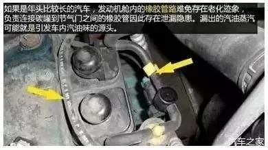  保养|5000公里就要保养一次？记住这几点，不怕被坑