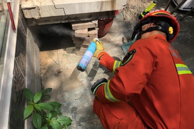  现场|请问消防清马蜂窝收费吗？消防员：不收费！抓蝙蝠也不收费