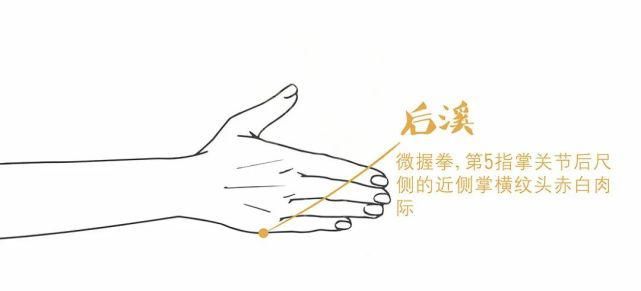 凹陷|汴梁养生|十大常用天然“止痛开关”,帮我们缓解疼痛!