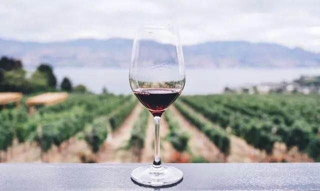 作用|黄河风物|女人喝红酒这么多好处,难怪明星都爱喝哦