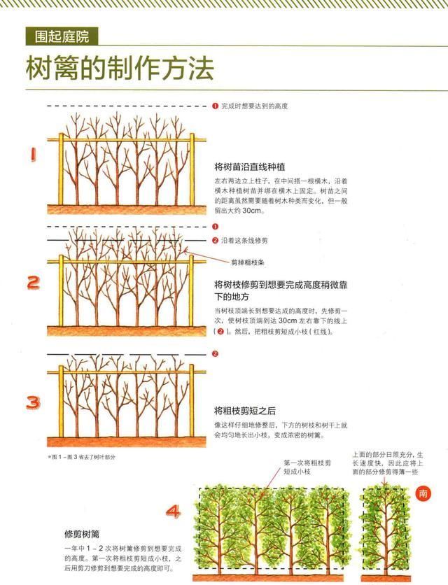  家庭|不知道怎么打造庭院的看这里，会让你收获满满（家庭庭院手册）