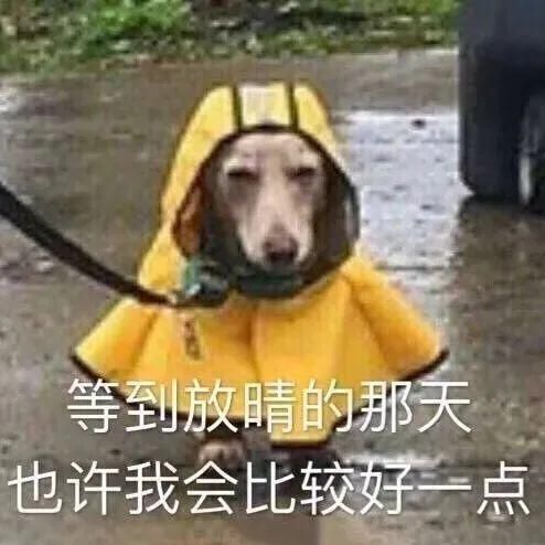  不停|骤雨雷暴不停！珠海“双黄”预警高悬！雨雨雨要持续到…