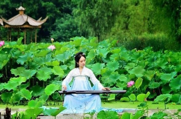  入声字|用新韵写诗词，押入声韵的词牌怎么办？