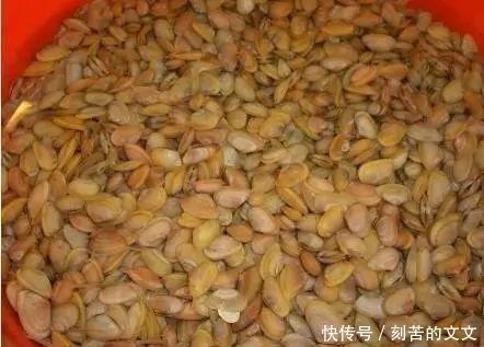 认出|海鲜大全, 你能认出多少