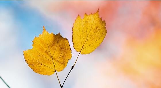  清城区|清城区打掉一非法经营燃气点，依法查扣140个“炸弹”