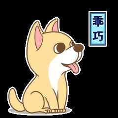 对犬只进行收容管理|不文明养犬被罚200元！邹平公安开出第一张罚单！