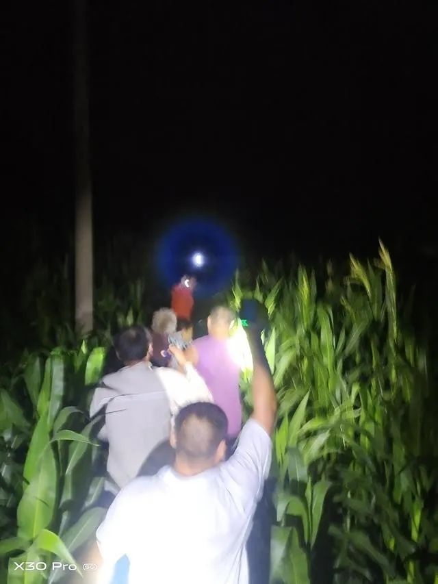  高温|阳信发布：爱心人士带搜救犬冒高温搜寻91岁走失老人