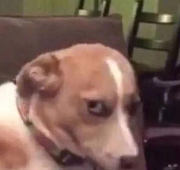  搞笑|回复网友评论这么有梗，他们要不要考虑兼职做个搞笑博主？