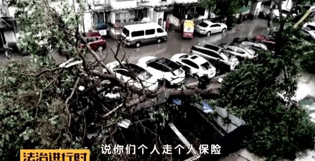  轿车|北京：小区突然刮大风，大树砸坏5辆轿车