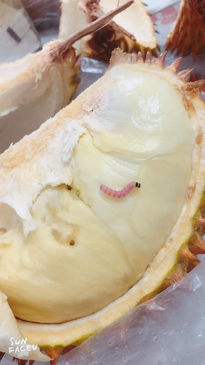 浙江|浙江姑娘买了个榴莲,放了两天扒开一看吓一跳,吃还是不吃?