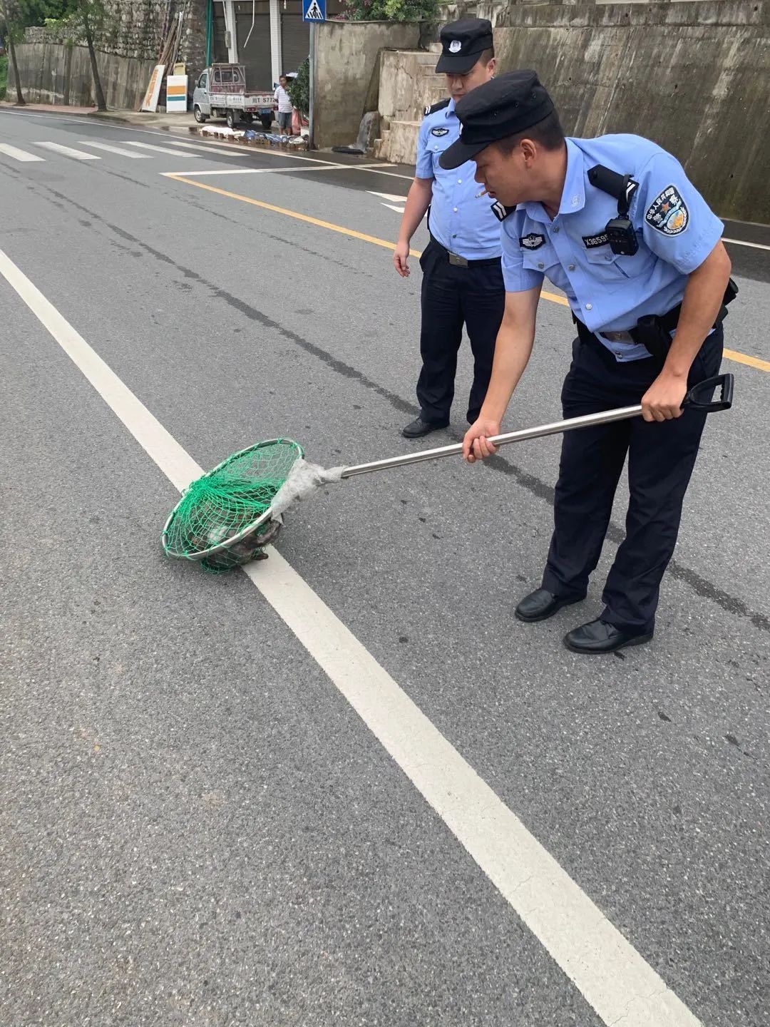 下罚款|提倡：文明养犬从你我做起