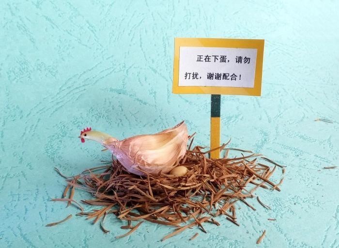 熊猫|丝瓜熊猫、菜叶鸵鸟……男子用蔬菜创造“动物世界”