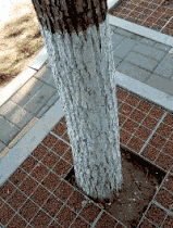 难道|搞笑GIF:这里面的难道是花生?我看着像,我回家带布袋!