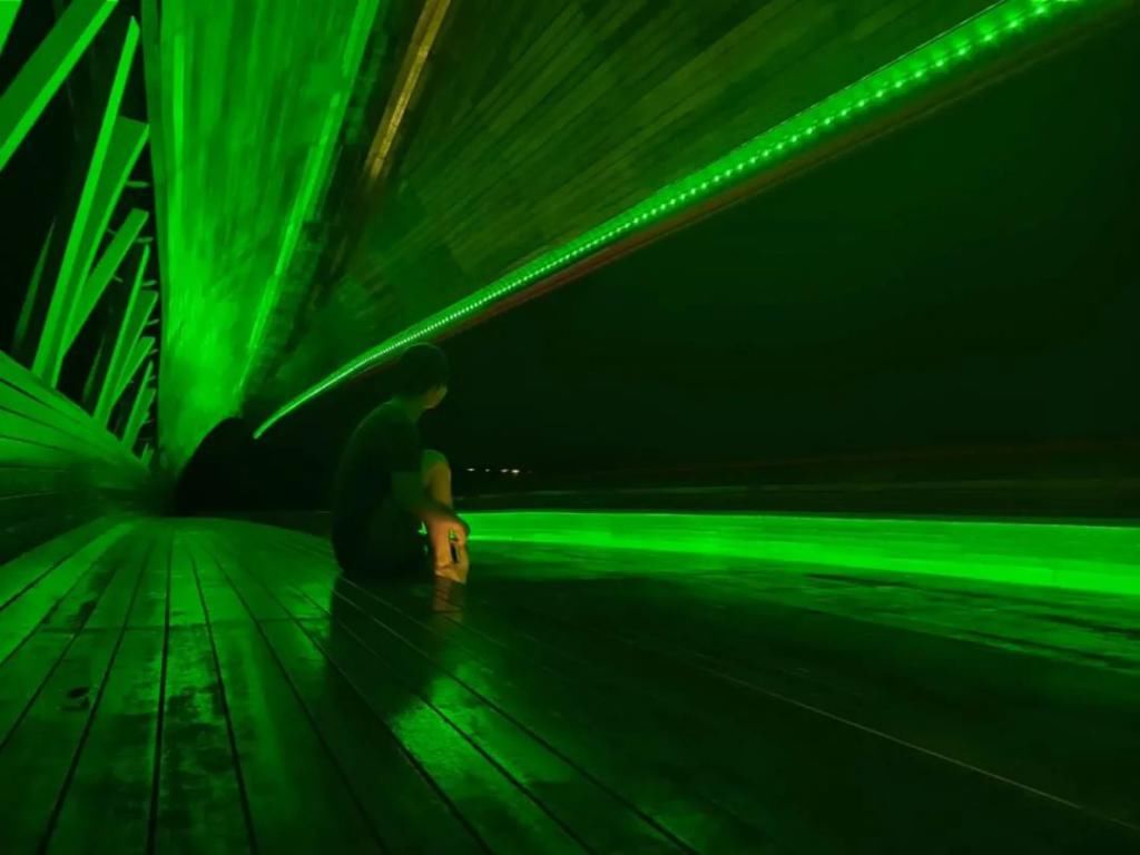 网红|【探索】滴水湖4座“网红”景观桥亮灯啦!快来先睹为快