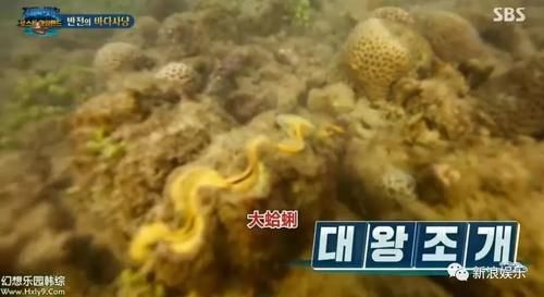  资格去采|每次都是艺人背锅，实惨！