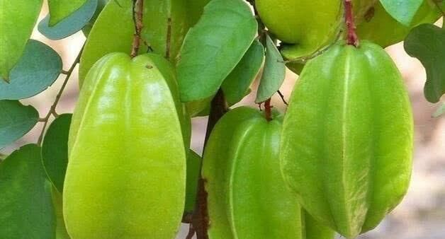  食物|女性想要身体好 ，常吃3种食物，排毒燃脂，清理肠胃，甩掉小赘肉