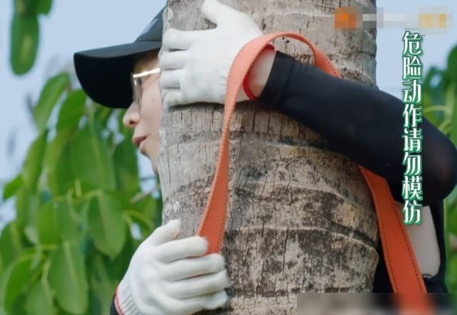  张子枫|谁关注彭昱畅谁在乎爬椰树？你去不去一目了然