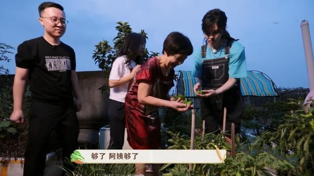  饺子|明星“蹭饭”：岳云鹏煮饺子，郁可唯摘辣椒，李斯丹妮哄孩子