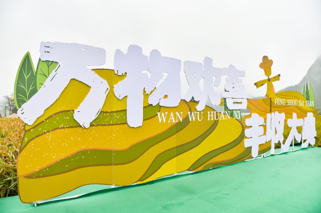 声音|假如丰收有声音，一定是这样婶儿的