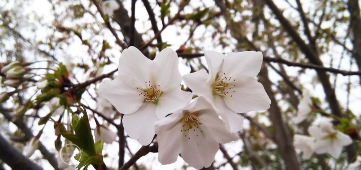  时间|我没时间生气，因为我很忙