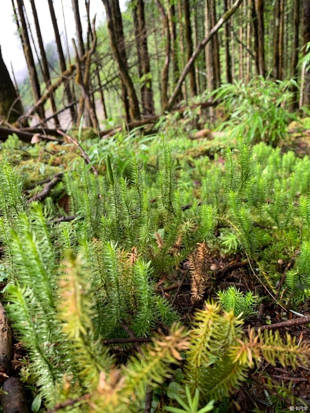  夏天|终于走了宝康线，夏天出行真是拼人品