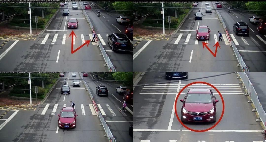 驾驶机动车违反道路|闯红灯、斑马线前不礼让行人，看看都有谁？