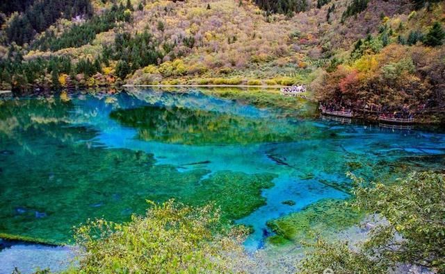  镜头|九寨沟名扬四海，但不适合走马观花，请跟随镜头仔细看看