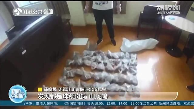 三有保护动|男子3个多月非法狩猎1000多只斑鸠 民警：20只就构成刑事处罚