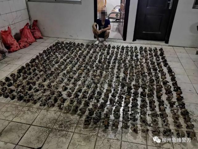 警方|聚焦民生案 | 警方追回600个被盗管扣，画面是这样的...