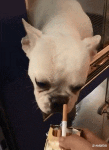 妹子|“妹子,你腰上的纹身真有个性,看得我脸红了”好一个出入平安啊哈哈哈