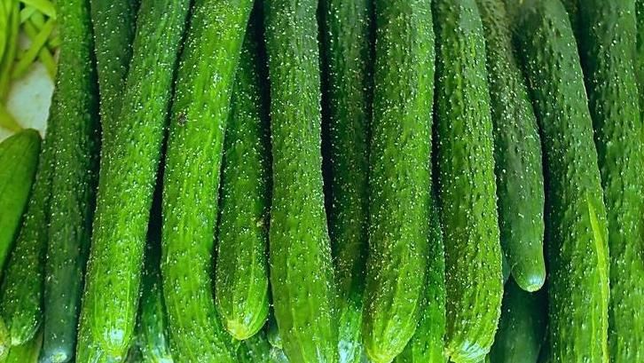  瓜一起食|黄瓜绿色健康营养丰富，吃黄瓜的几大禁忌，还不清楚要当心了！