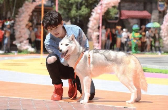 如今|原来这些明星都参加过《跑男》,但却全程被冷落,如今红到高攀不起!