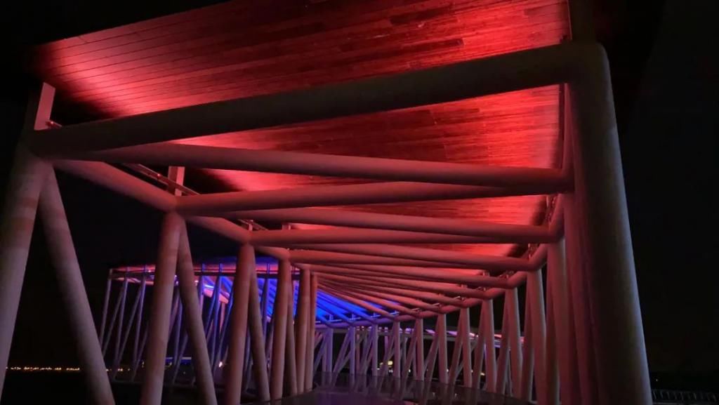 网红|【探索】滴水湖4座“网红”景观桥亮灯啦!快来先睹为快