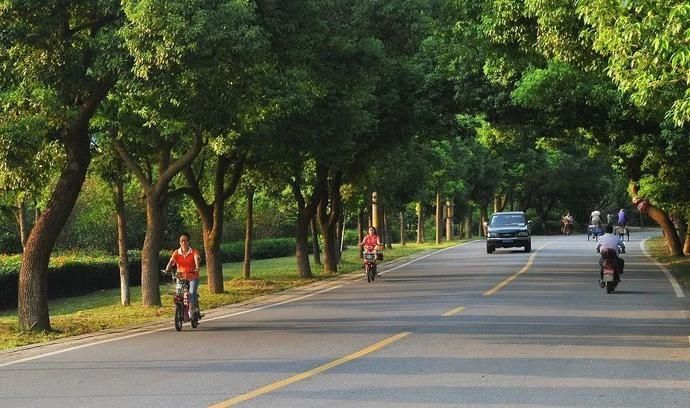  宜兴|打造全国最干净城市｜这些路，美出天际！