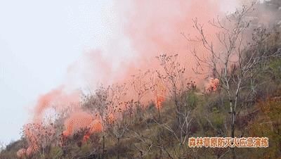 峰峰的“千里眼顺风耳”你可了解？|70年·我和峰峰的故事 | 心使命