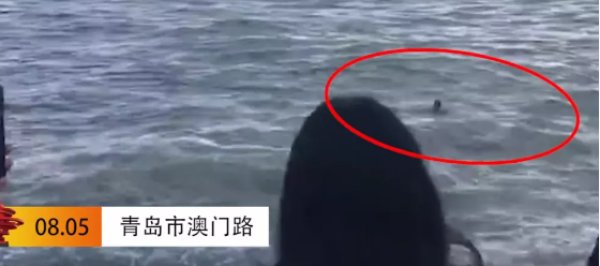  被困|惊魄30秒！男子被困车底，危急时刻，他们出现了